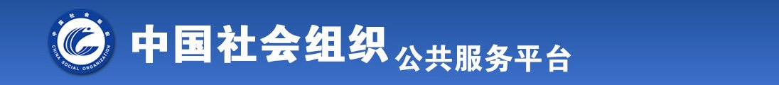 屄喷18全国社会组织信息查询